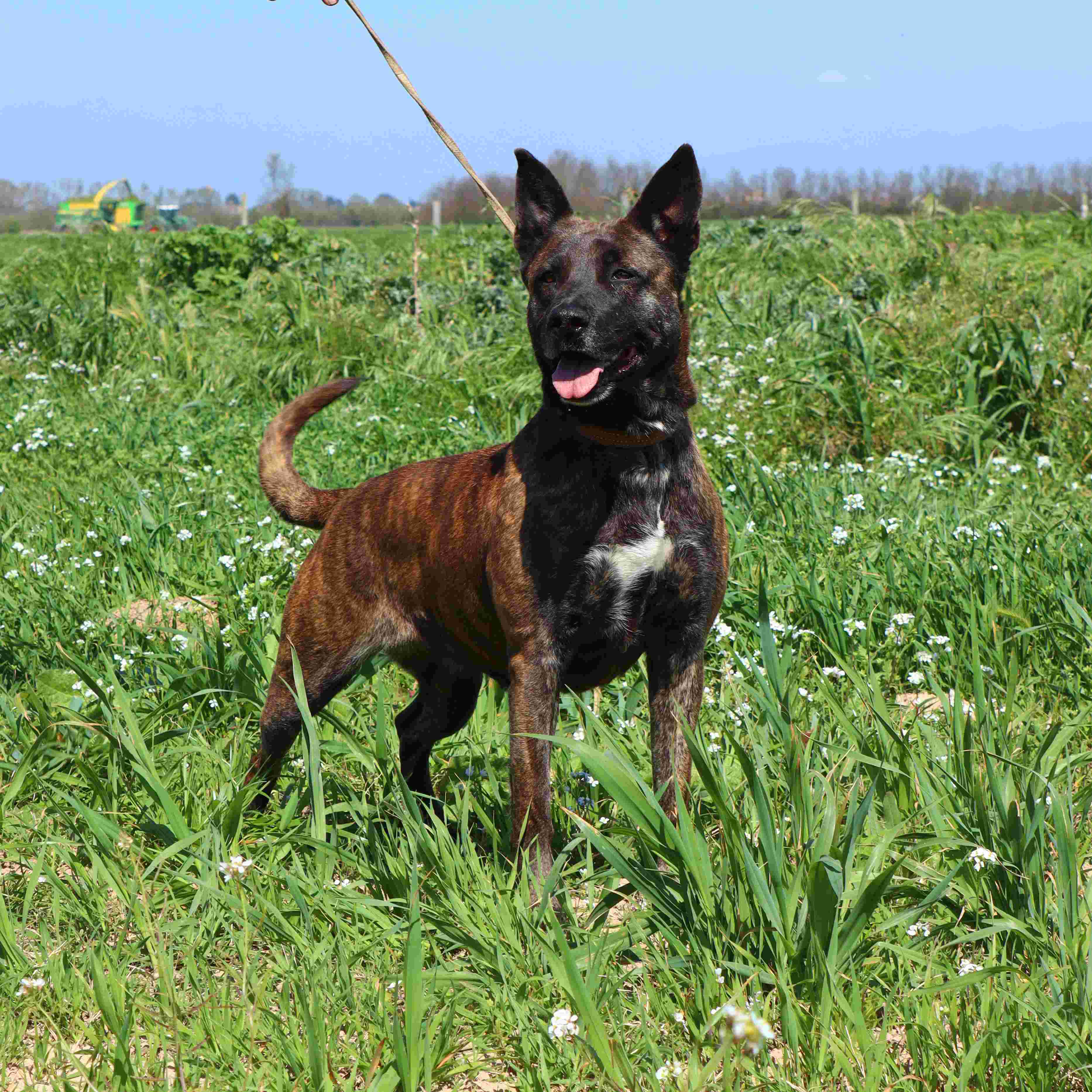 048cred